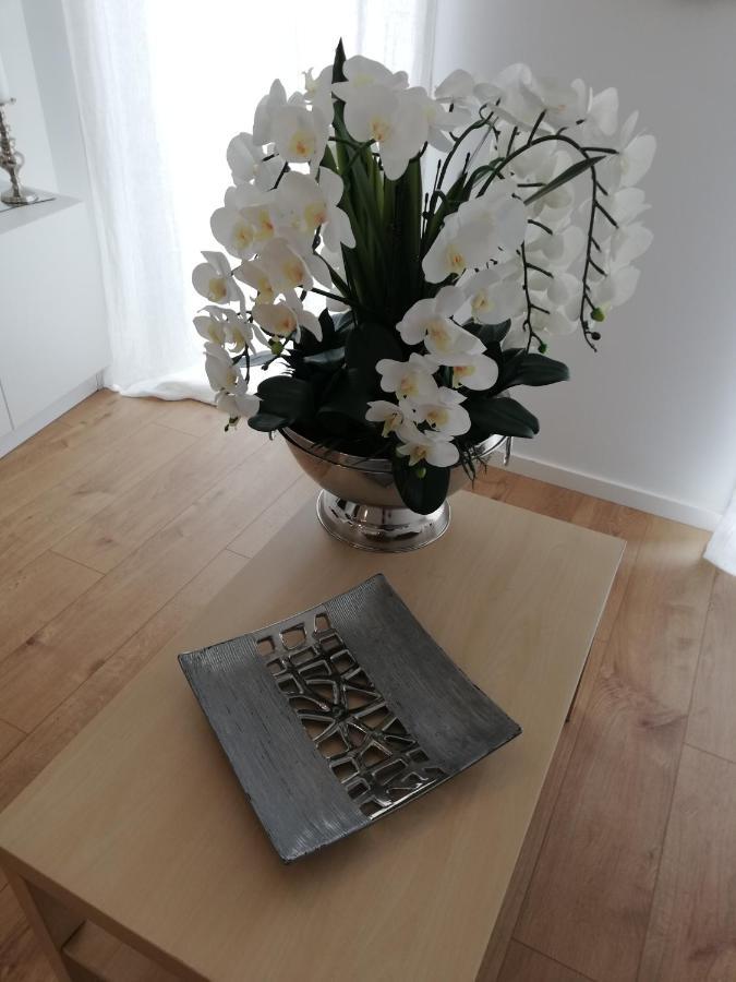 Pearl House Apartman Aveiro Kültér fotó